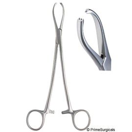 Royalista - Littlewood Tissue Forceps 7 inch – Premium Stainless Steel Surgical Instrument with 2x3 Teeth