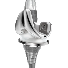 LCS Complete Rotating Platform Tibial Insert Small