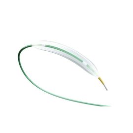 Apollo™ NC and SC Coronary Balloon Dilatation Catheters – High-Performance Solutions for PTCA Procedures