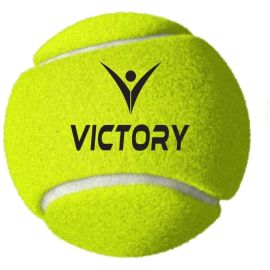 Cricket ball
