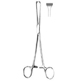 Allis Tissue Forceps – Non-Traumatic, Stainless Steel 6 to 8 inch