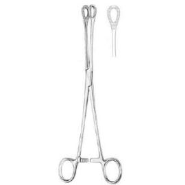 Sponge Holding Forceps (Foerster) Stainless Steel 6 to 8 inches