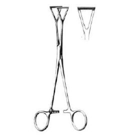 8-Inch Duval Holding Forceps – Stainless Steel Surgical Instrument with Triangular Jaw