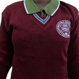 Allahabad Public School - Junior Wing Sweater