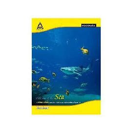 Classmate Longbook, Single Line, Sized: 297 x 210 mm, Page: 344 