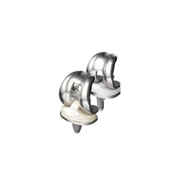 SIGMA® Curved GVF Tibial Insert